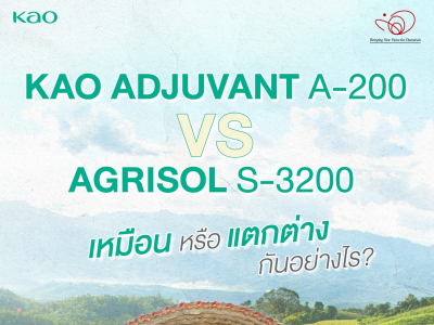 KAO ADJUVANT A-200 กับ AGRISOL S-3200 เหมือนหรือแตกต่างกันอย่างไร? 
