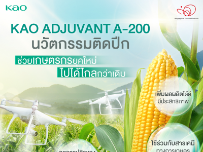 KAO ADJUVANT A-200 สารจับใบ ช่วยเพิ่มประสิทธิภาพสารเคมีทางการเกษตร เหมาะกับการฉีดพ่นด้วยโดรนเกษตร เเละเฮลิคอปเตอร์ 