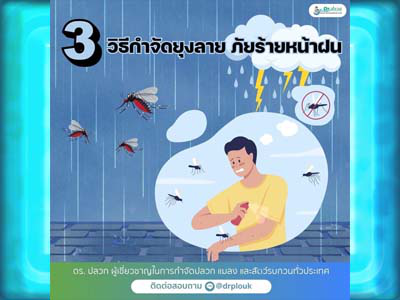3 วิธีกำจัดยุงลาย ภัยร้ายหน้าฝน โดย Dr.ปลวก