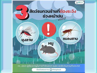 3 สัตว์รบกวนร้าย ที่ต้องระวังช่วงหน้าฝน โดย Dr.ปลวก